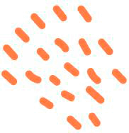 Market Success Partners